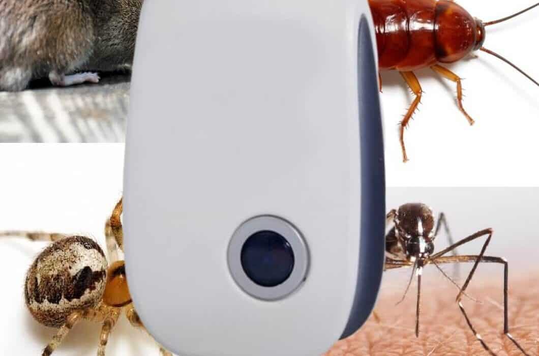 Pest Reject